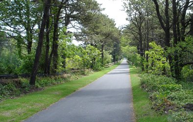 Cape Cod Rail Trail