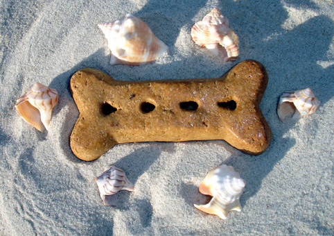 dog bone in sand